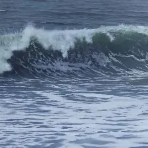 Wind Driven